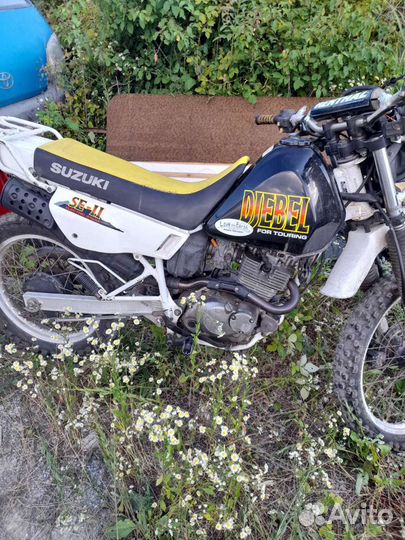 Suzuki djebel