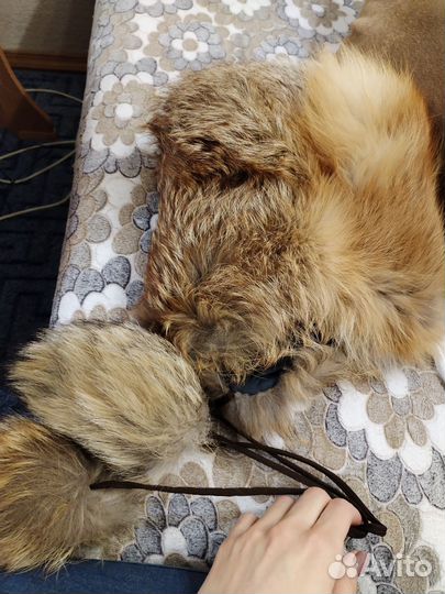 Шапка лисья