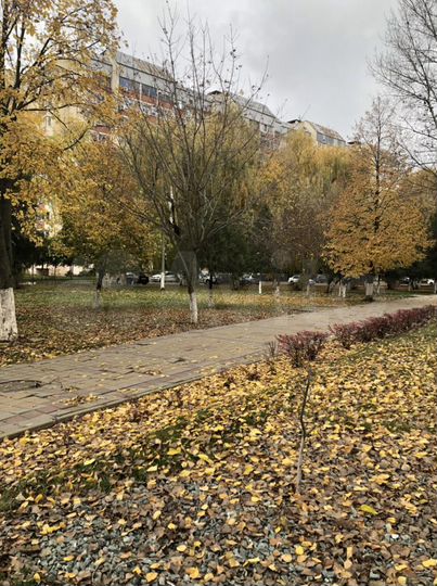 Участок 30 сот. (ИЖС)