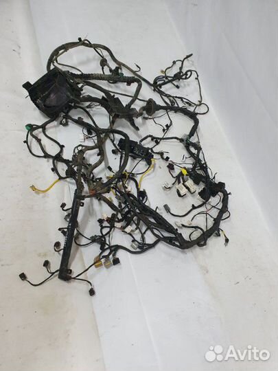 Проводка подкапотная Hyundai Solaris HCR G4FG 2018