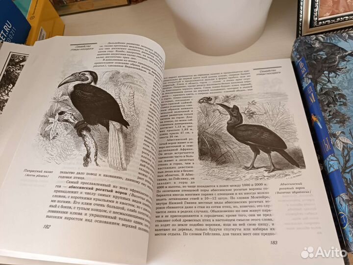 Книги Альфред Брэм Птицы