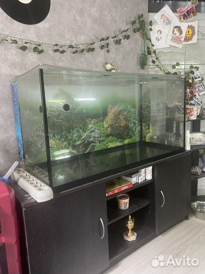 Аквариум