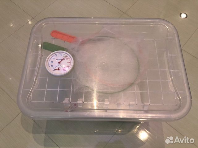 Ферма для выращивания бабочек большая