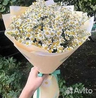 Цветы ромашки. Букеты ромашек. Цветы доставка