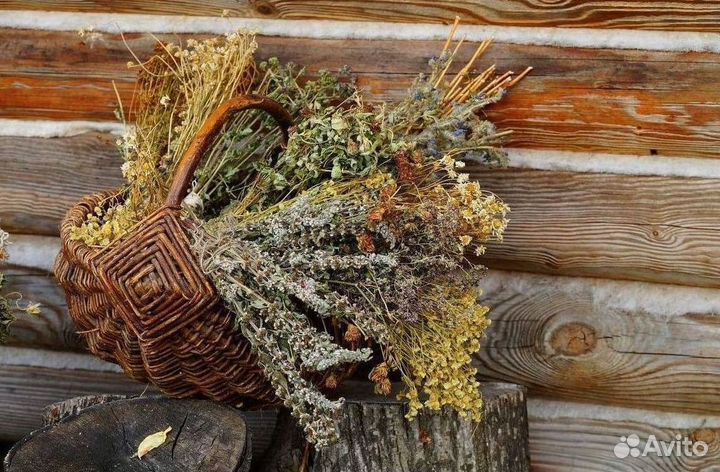 Веник для бани и травы Полынь донник опт