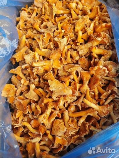 Грибы лисичка свежемороженные