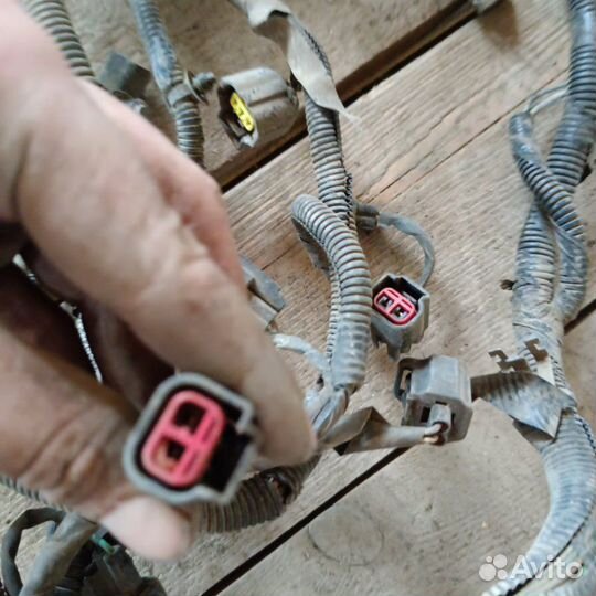 Проводка Ford Focus 2 2008