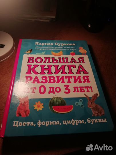 Лариса Суркова 