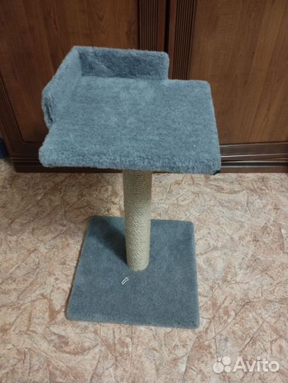 Когтеточка