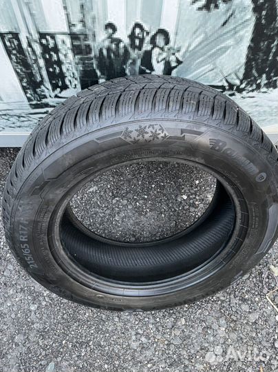 Barum Polaris 5 215/65 R17