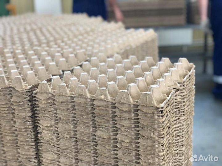 Лотки для яиц Оптом