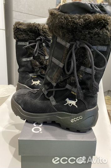 Зимние ecco 36