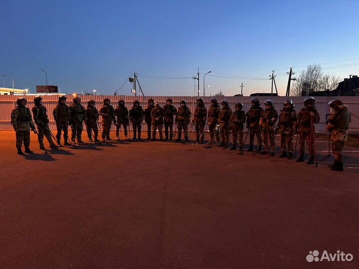 Гуманитарное разминирование (очистка местности)