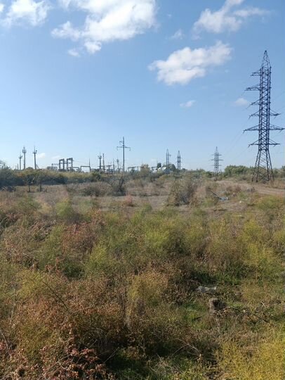 Участок 6,5 сот. (ИЖС)