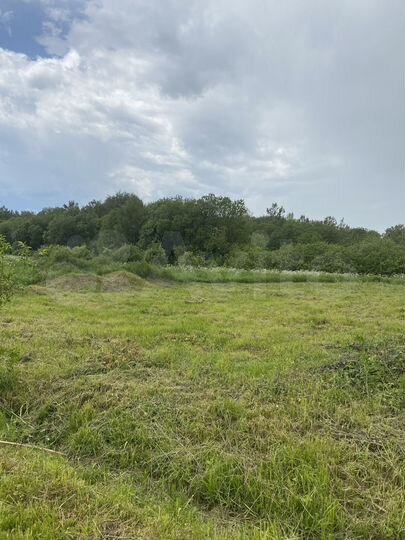 Участок 12 сот. (СНТ, ДНП)