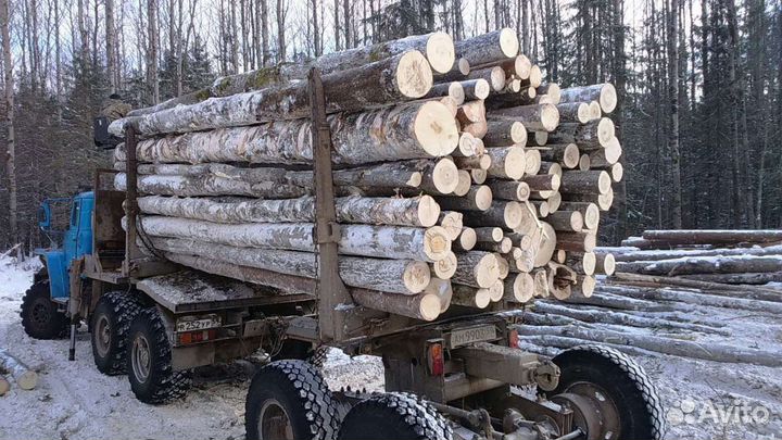 Дрова длиномером