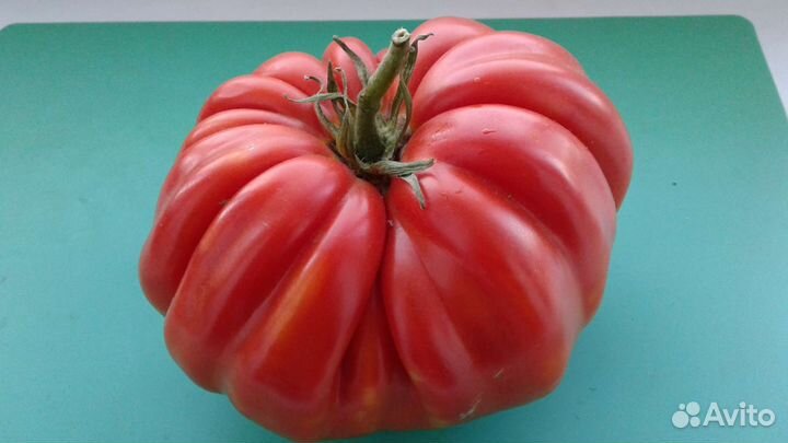 Семена и Рассада Коллекционных помидоров томатов