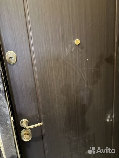 Входная дверь