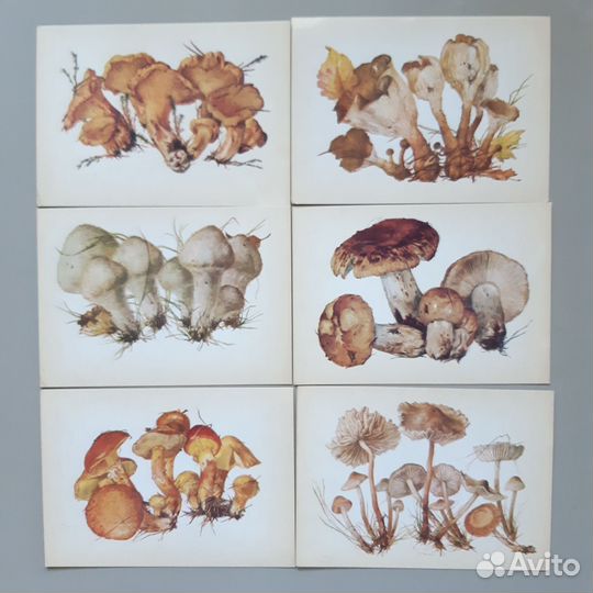 Винтажные открытки Грибы