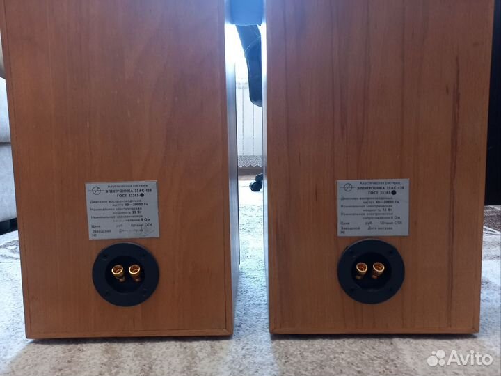 Музыкальные колонки электроника 25ас-128