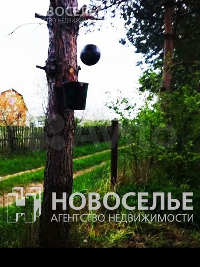 Дом 22 м² на участке 13 сот.