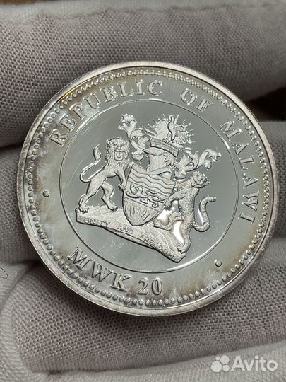 20 квача 2010 год. Год Тигра