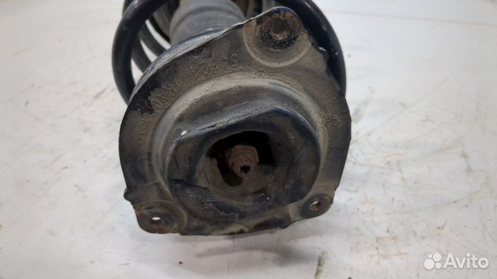 Амортизатор подвески левый передний Nissan Juke, 2011