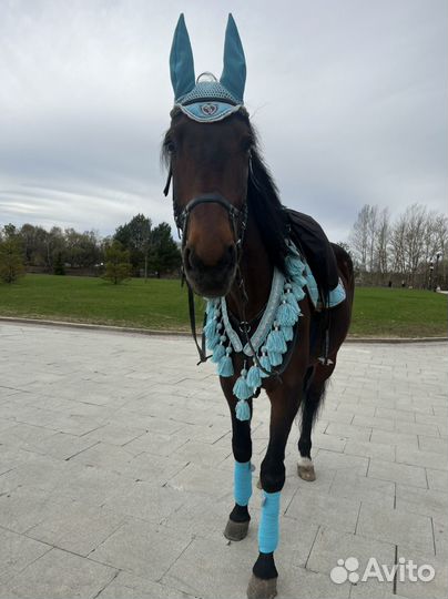 Работа с лошадьми