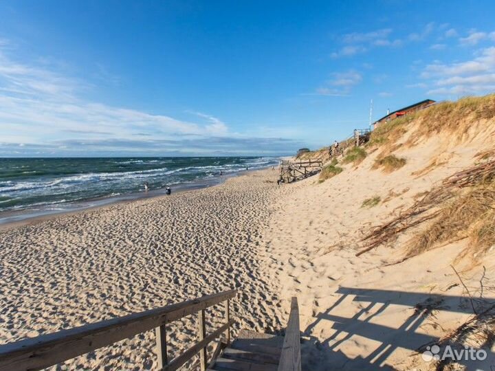 Экскурсия — Калининград — Куршская коса: древние л