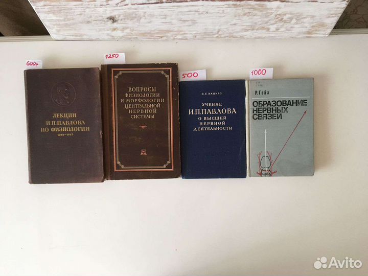 Физиология нервной деятельности