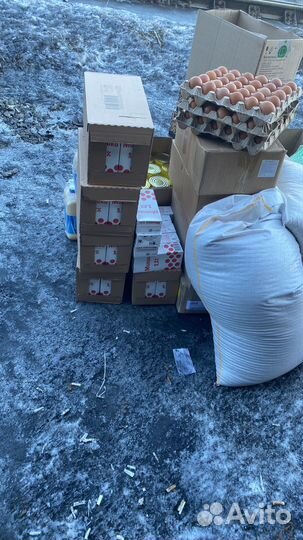 Мясо,курица,тушенка