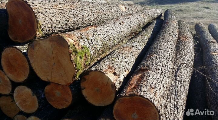 Дрова ольха