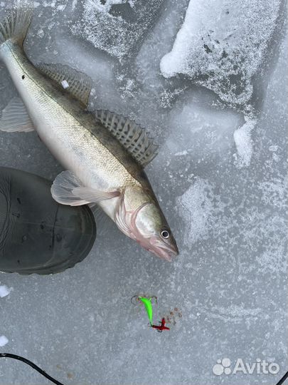 Блесна суровикинская