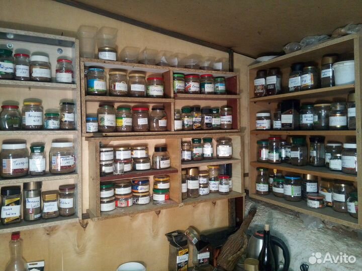 Семена табака