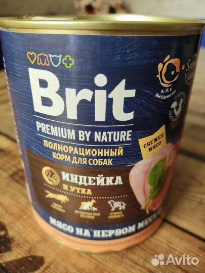 Влажный корм для собак