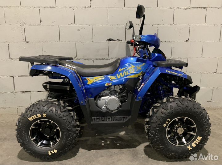 Квадроцикл 125 Motoland wild X PRO