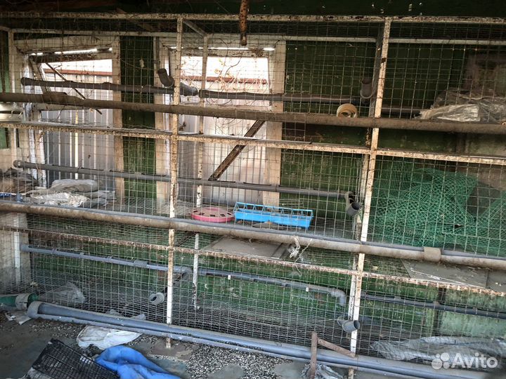 Клетка для птиц бу