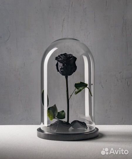 Черная роза в колбе