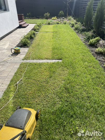 Покос травы триммером