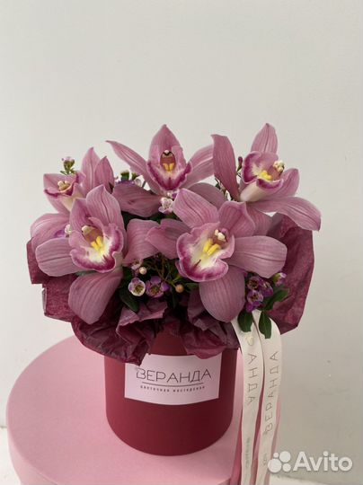 Орхидеи в коробке