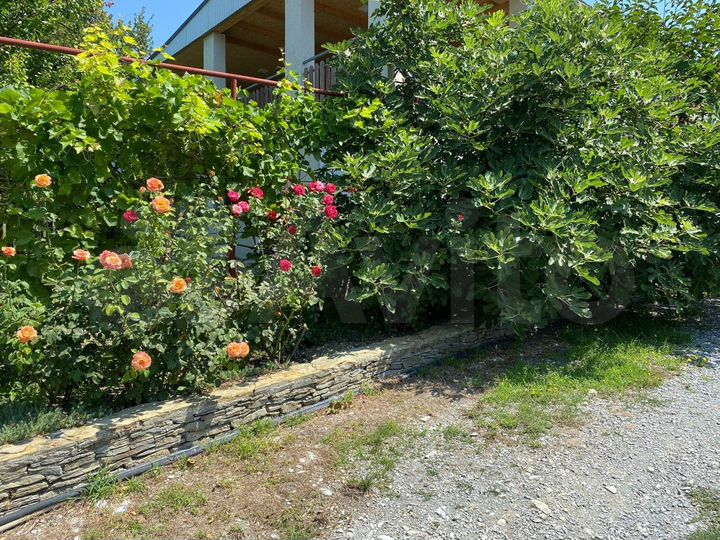 Комната 20 м², 2/3 эт.