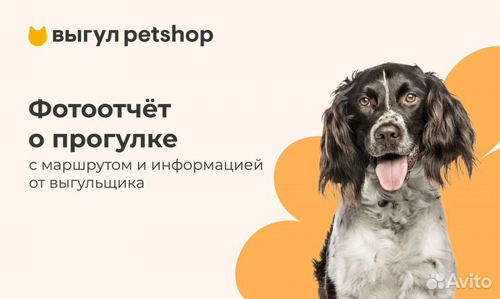 Выгул собак Petshop
