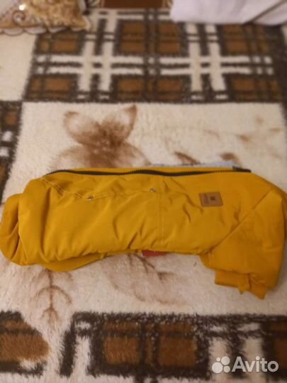 Одежда для собак мелких пород