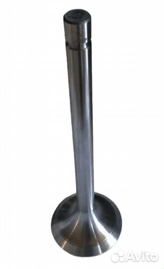 Клапан впускной Д-243, Д-245, Д-260