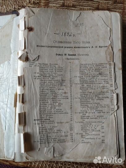 Брэм А.Э. Жизнь животных 
