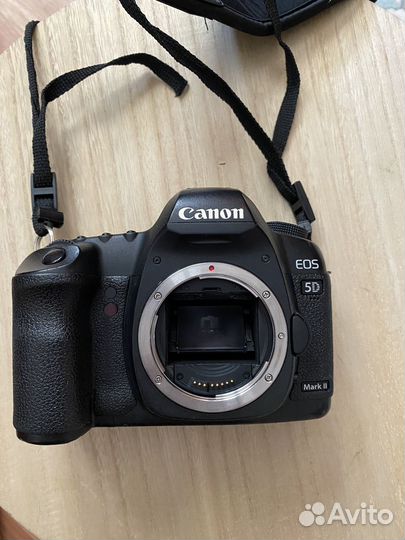 Зеркальный фотоаппарат canon 5d mark ii