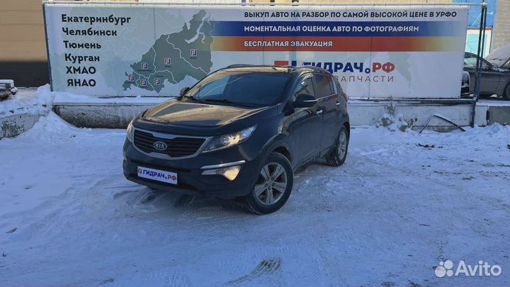 Уплотнитель стекла двери заднего левого Kia Sporta