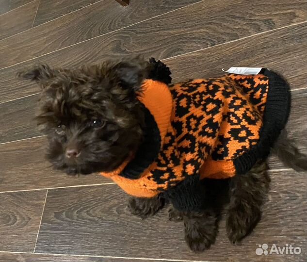 Свитер для собаки