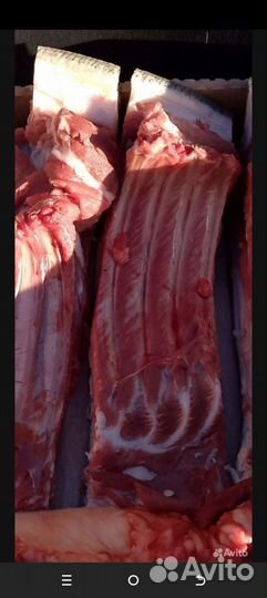 Мясо кабанчика