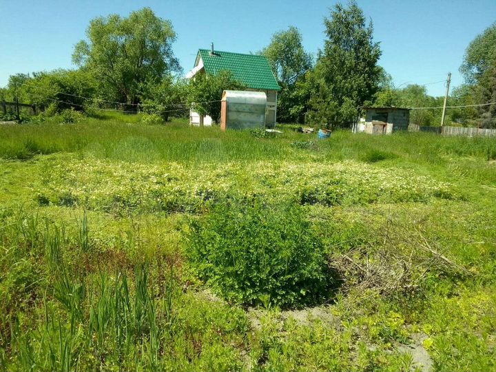 Дом 25 м² на участке 32 сот.